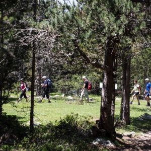 Endinseu-vos en la natura de la Vall del Madriu-Perafita-Claror