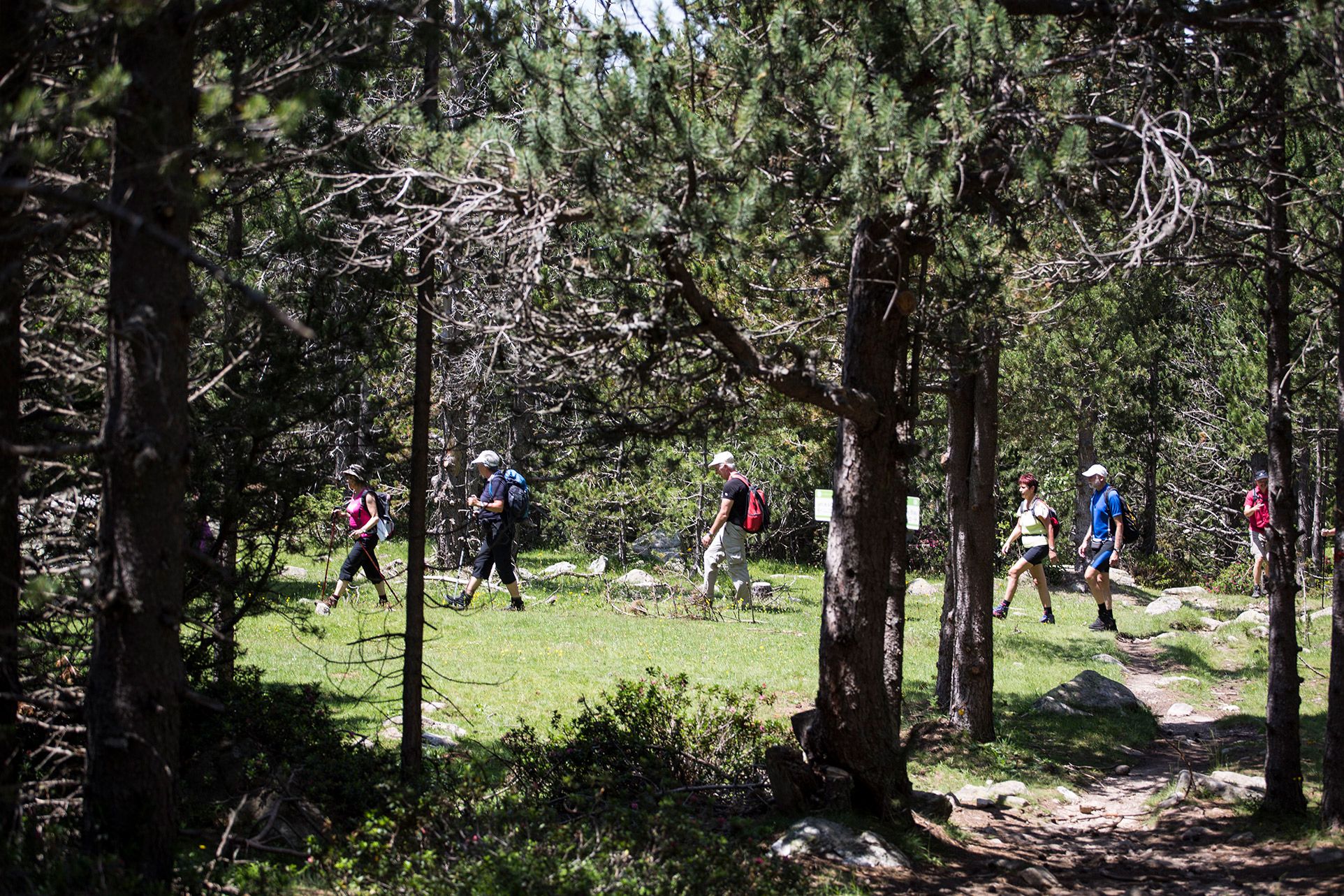 Endinseu-vos en la natura de la Vall del Madriu-Perafita-Claror