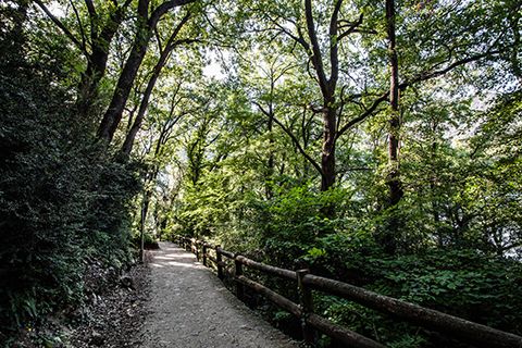 Passeig del rec de l'Obac