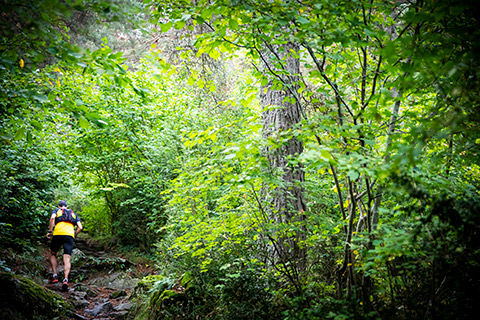 Camí de Prat primer