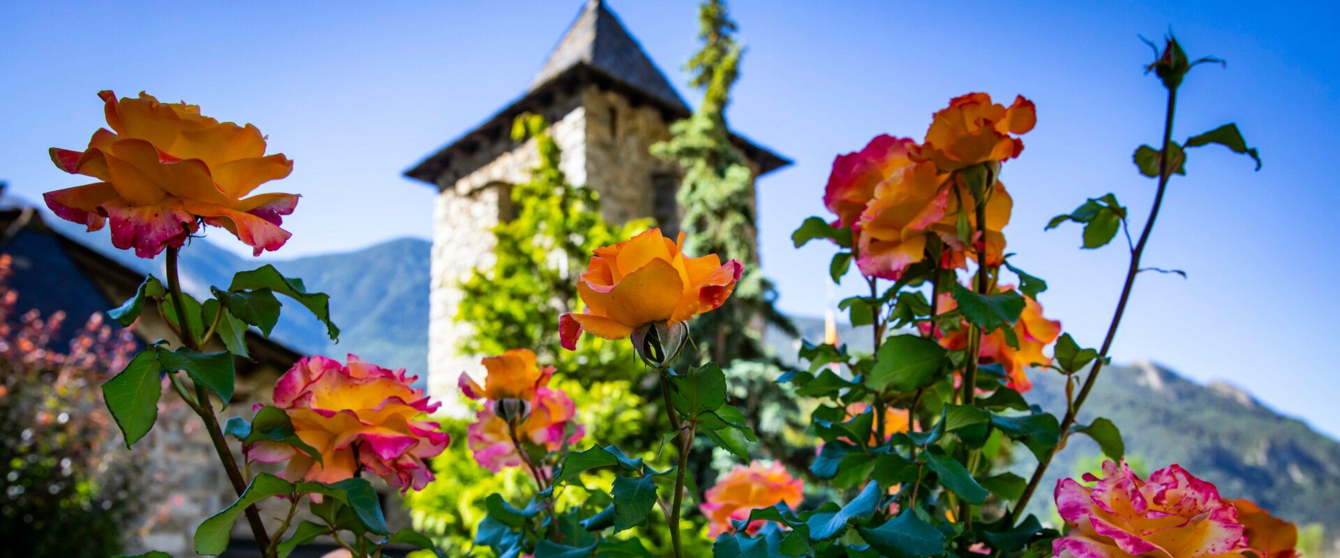 Flors
