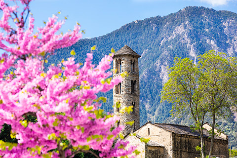 Visita de Santa Coloma